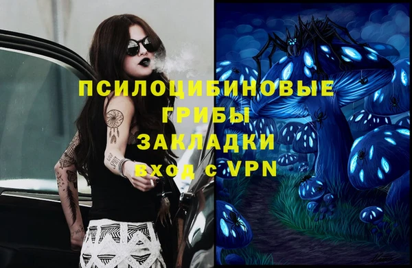 метадон Инсар
