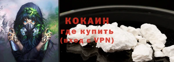 соль ск Инта