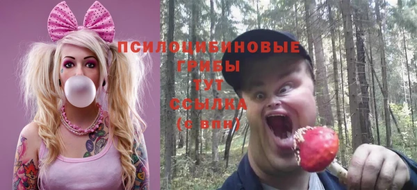 соль ск Инта