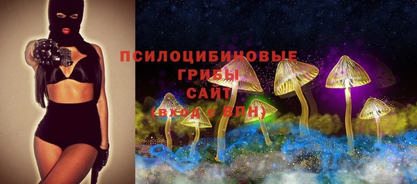 метадон Инсар